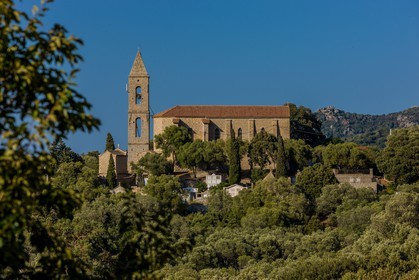 Figari