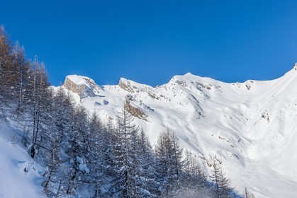 La Foux d'Allos