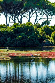 Lérins, Sainte-Marguerite