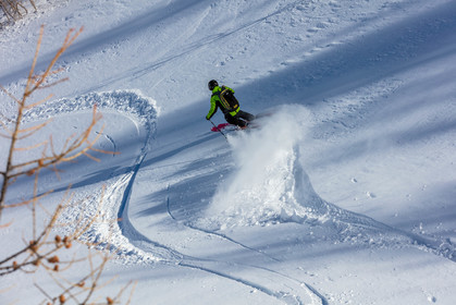 Freeride