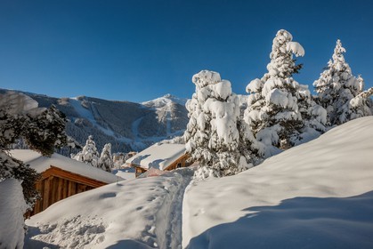 Auron