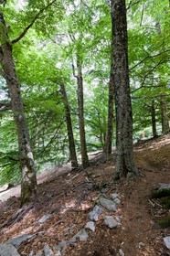 GR 20 Nord