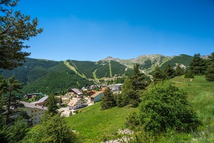 Auron