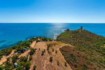 Fautéa