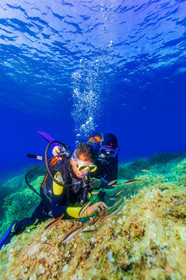 Plongée-sous-marine