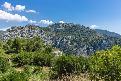Ollioules