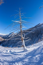 La Foux d'Allos