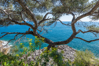 Roquebrune-Cap-Martin