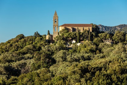 Figari