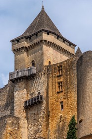 Château de Castelnaud