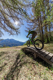 Vtt