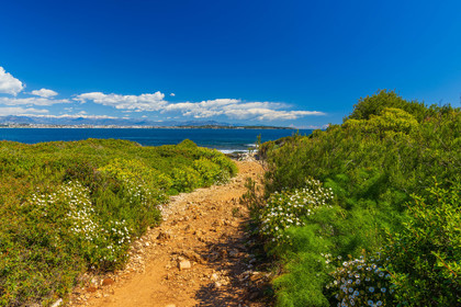 Lérins Sainte-Marguerite 2024