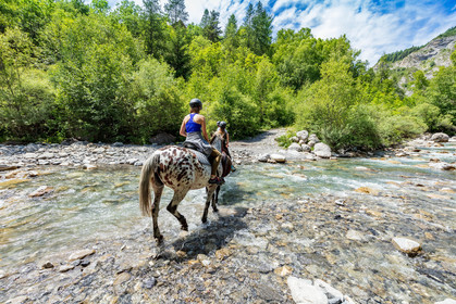 Equitation