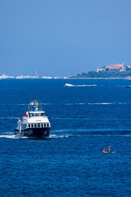 PAL318593.jpg