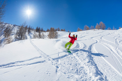 Snowboard