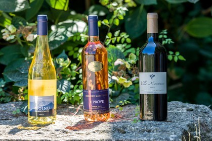 Vignoble corse