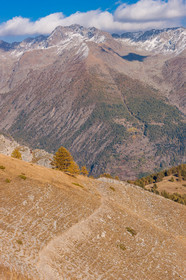 Auron