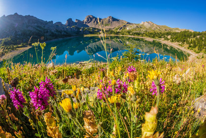 Lac d'Allos
