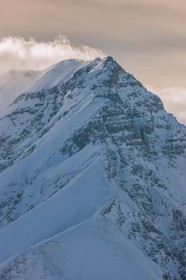 Auron