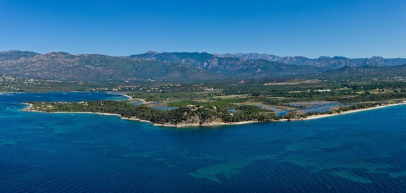 Benedettu