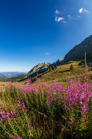 Col des Champs