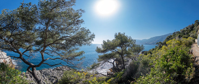 Roquebrune-Cap-Martin