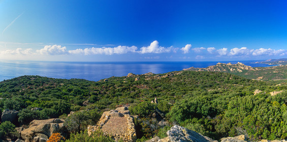 Roccapina