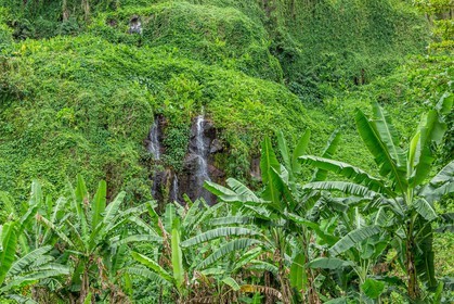 Ile de La Réunion