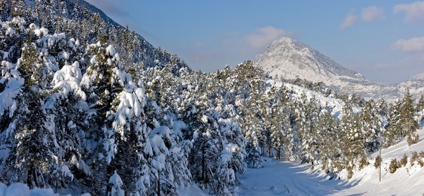 Andon