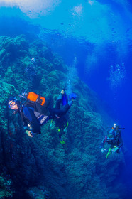 Plongée-sous-marine