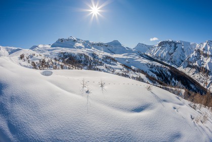 Auron