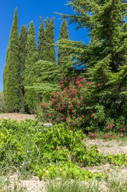 Six-Fours-les-Plages