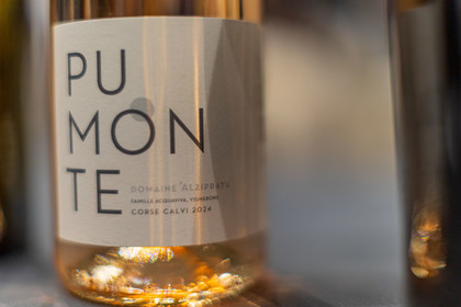 Domaine d'Alzipratu