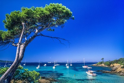 Porquerolles