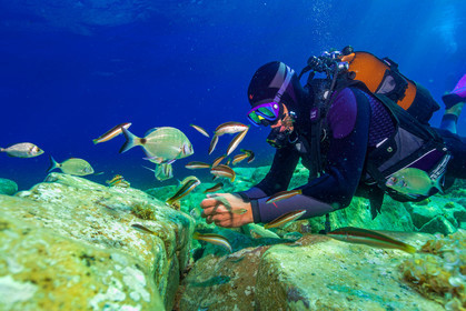 Plongée-sous-marine