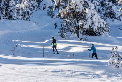 Ski de fond