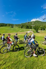 Vtt
