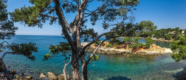 Bandol