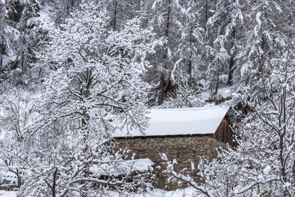 Saint-Dalmas-le-Selvage