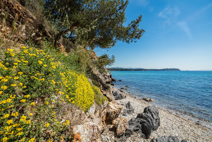 La Londe-les-Maures