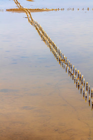 Salins d'Hyères