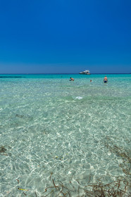 Saleccia