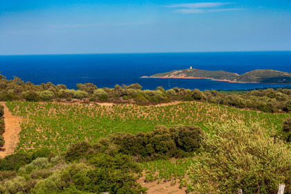 Domaine de Torracia