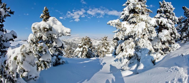 Paysage d'hiver