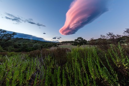 Lenticulaire