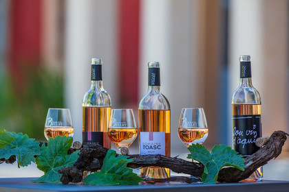 Domaine de Toasc