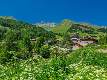 La Foux d'Allos