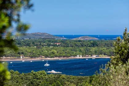 Benedettu