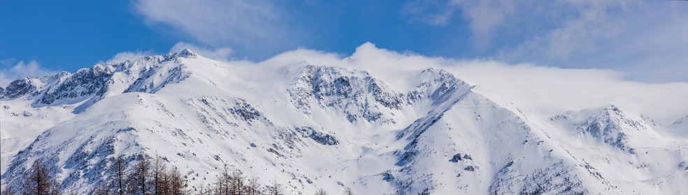 Auron