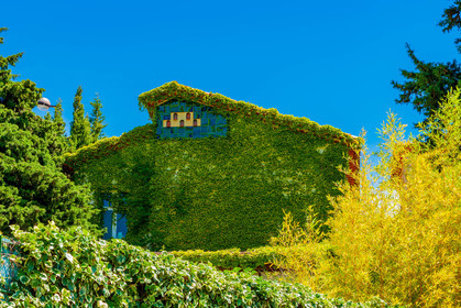 Saint-Paul-de-Vence